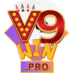 v9winpro