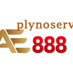 ae888plynoservis