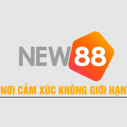 NEW88  