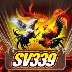 dagasv339